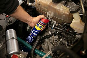 31688 wd 40 flexible the line 1 2021 08 13 12.16.43