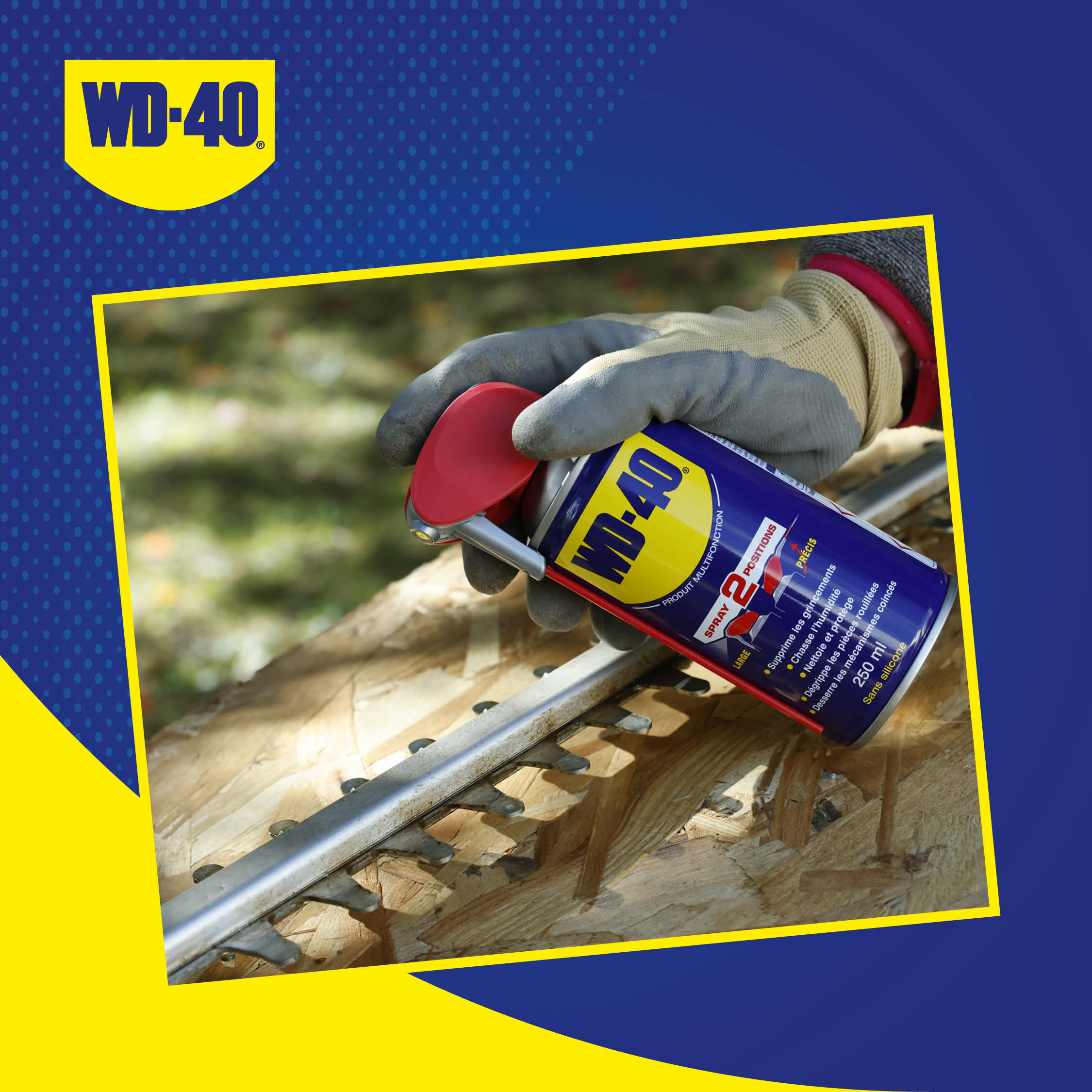 wd40 carrousel 1080x1080 veronique3